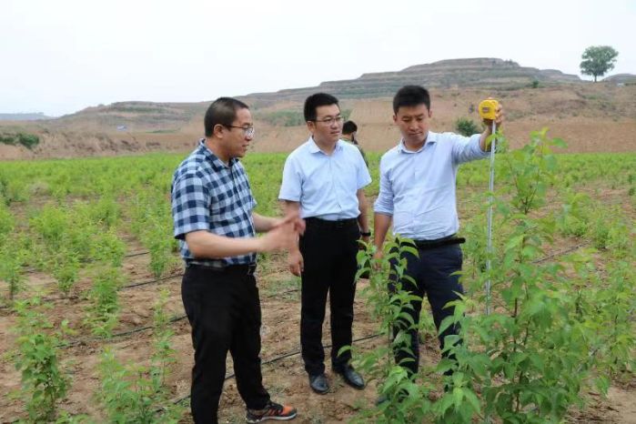 首页|NG大舞台,有梦你就来