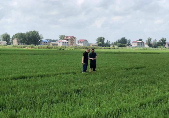 首页|NG大舞台,有梦你就来