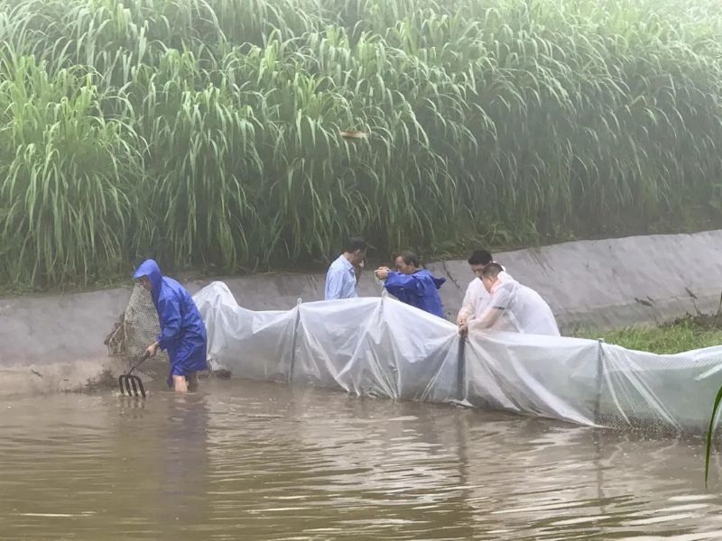 首页|NG大舞台,有梦你就来