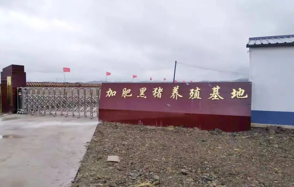 首页|NG大舞台,有梦你就来