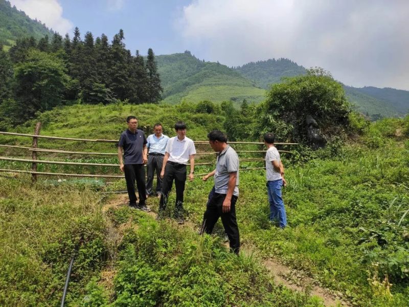 首页|NG大舞台,有梦你就来